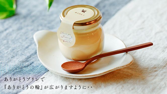 【 素材 厳選 】 こだわり の ありがとう プリン 6個入 冷蔵 洋菓子 スイーツ デザート ぷりん 子ども 大人 贅沢 おやつ ギフト 贈答用 [DJ021us]