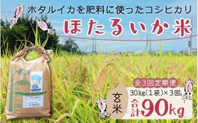 【訳あり】ほたるいか米（玄米30kg）×3回 計90kg【3ヶ月定期便】【J-021001】