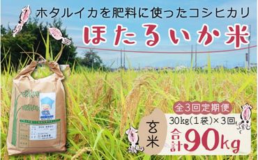 【訳あり】ほたるいか米（玄米30kg）×3回 計90kg【3ヶ月定期便】【J-021001】