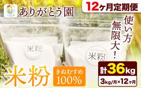 【12ヶ月定期便】米粉 きぬむすめ 3kg ありがとう園《お申込み月の翌月から出荷開始》岡山県 矢掛町 米 コメ 一等米 きぬむすめ 100％ 料理用 定期便---osy_aekktei_23_83000_mo12num_3---