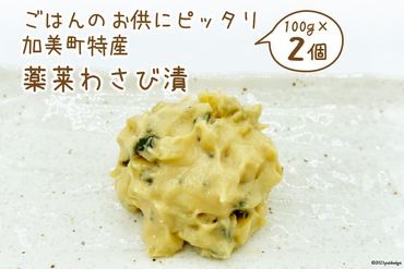 ごはんのお供にピッタリ 加美町特産 薬莱わさび漬 100g×2個 [やくらい土産センター 宮城県 加美町 44581303] 