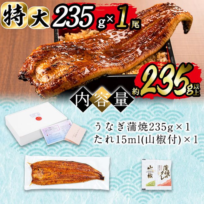 日ノ本一の鰻の蒲焼き＜特大＞1尾(約235g以上) a4-071