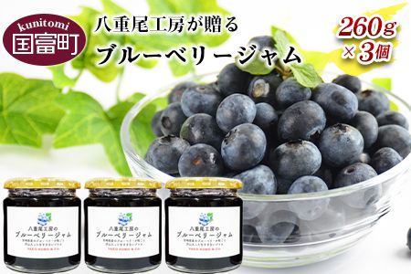 y{茧xzu[x[W 260g×3ɏoׁya0189_ye_x1z