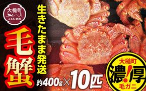 【令和7年発送】三陸産！活毛ガニセット 400g×10杯【2025年2月〜4月発送】【配送日指定不可】【0tsuchi01013】【08】