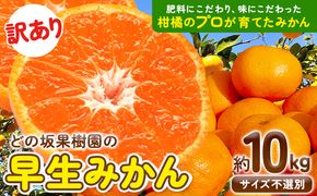 みかん 和歌山 訳あり 早生 みかん 10kg ( サイズ おまかせ ) どの坂果樹園《12月上旬-2027年2月上旬出荷予定》 和歌山県 日高町 産地直送 家庭用 規格外 不揃い 果物 柑橘 サイズ 不選別 訳ありみかん わけありみかん 送料無料---wsh_dsk55_12j2j_25_15000_10kg---