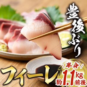 豊後ぶりフィーレ (計約1.1kg) 鰤 真空パック 刺身 さしみ 刺し身 照り焼き ブリしゃぶ しゃぶしゃぶ 大分県 佐伯市【GD002】【東海シープロ (株)】