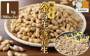【2026年発送】事前予約 やみつき極うま “金の生落花生” 1kg(500g×2袋) 生ピーナッツ 塩ゆで専用　H105-141