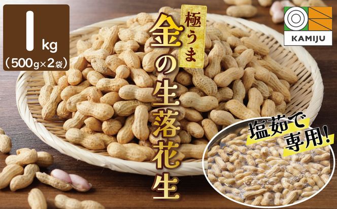 【2025年発送】事前予約 やみつき極うま “金の生落花生” 1kg(500g×2袋) 生ピーナッツ 塩ゆで専用　H105-141