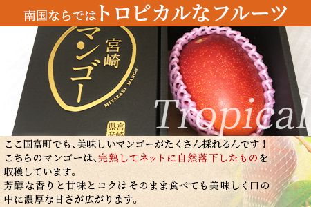 ＜宮崎特産！国富町産の完熟マンゴー 1玉（3L）＞2026年3月下旬～6月下旬迄に順次出荷【a0593_as】
