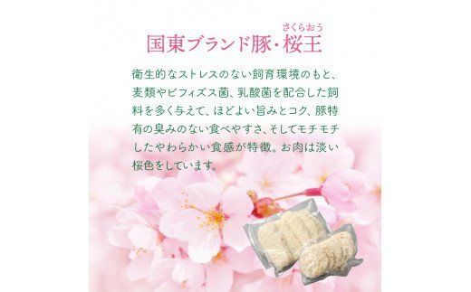 桜王豚ロース＆メンチのWカツセット/計1.13kg_1212R