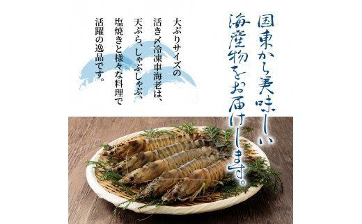 鮮度抜群！活き〆冷凍車海老（750g）_29017B
