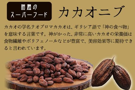 神の食べ物 カカオニブS 100g 石挽カカオissai 《30日以内に出荷予定(土日祝除く)》 岡山県 矢掛町 スーパーフード カカオ豆 スイーツ デザート---iosy_ishicacao_30d_25_9000_s---