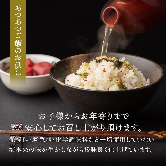 紀州南高梅使用 しそ仕込み完熟梅干し 約640g 塩分 約10％ [TM195] 303446_XH92246