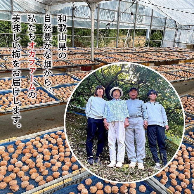 紀州南高梅使用 しそ仕込み完熟梅干し 約640g 塩分 約10％ [TM195] 303446_XH92246