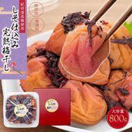 紀州南高梅使用 しそ仕込み完熟梅干し 無選別 約800g 塩分 約10％ [TM196] 303446_XH92247