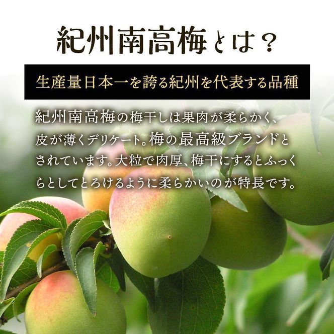 紀州南高梅使用 しそ仕込み完熟梅干し 無選別 約800g 塩分 約10％ [TM196] 303446_XH92247