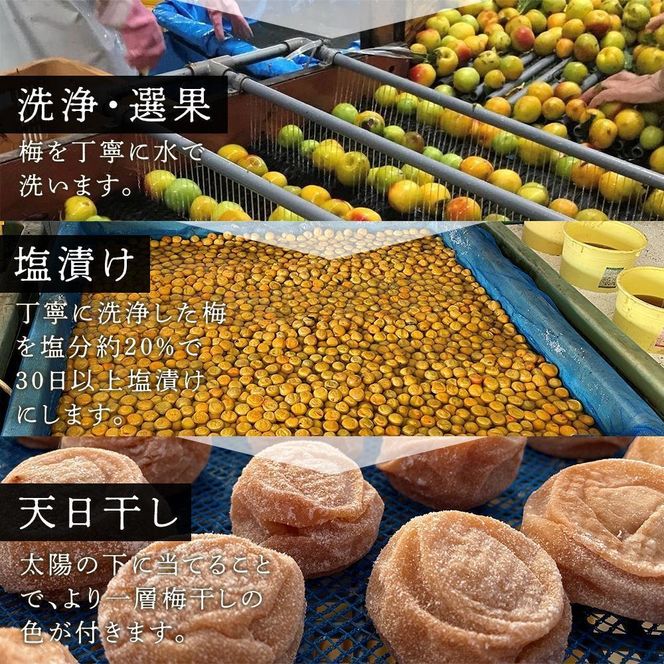 紀州南高梅使用 しそ仕込み完熟梅干し 無選別 約800g 塩分 約10％ [TM196] 303446_XH92247