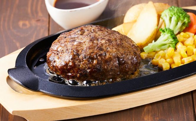 北海道 標茶町産 エゾ 鹿肉 ひき肉 1kg【 肉 にく 鹿肉 ジビエ BBQ バーベキュー グルメ ヘルシー 高タンパク 標茶町 北海道 】 016641_AY003