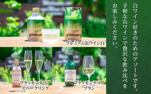 缶ワイン 白 5種セット 12本入 モンデ酒造 177-4-040