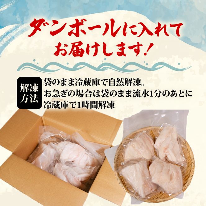 マンボウ正肉600g | 鮮魚 刺身 海鮮 魚 魚介類 まんぼう マンボウ 冷凍 骨なし 生食可 焼き物 フライ 揚げ物 煮物 ご飯のお供 お酒のお供 1万円 10000円 三陸 岩手県 大船渡市 【kouyou011】