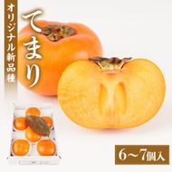紀州てまり（和歌山県ブランド柿）6～7個入 こだわり農家厳選 先行予約 ［2026年9月末から10月末頃順次発送］［KG27］ 303446_XM90027