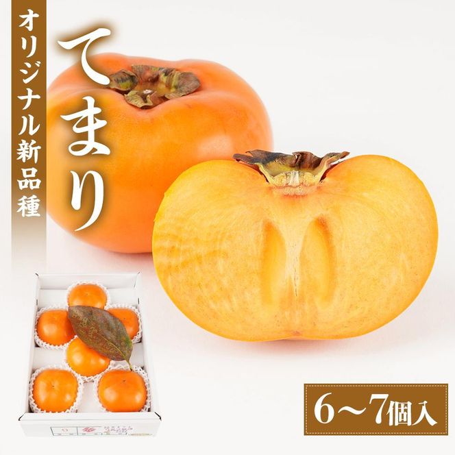 紀州てまり（和歌山県ブランド柿）6～7個入 こだわり農家厳選 先行予約 ［2026年9月末から10月末頃順次発送］［KG27］ 303446_XM90027