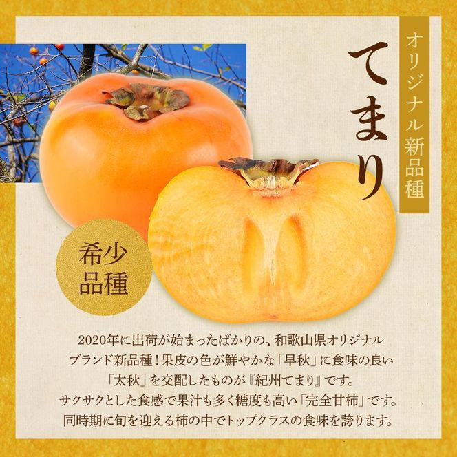 紀州てまり（和歌山県ブランド柿）6～7個入 こだわり農家厳選 先行予約 ［2026年9月末から10月末頃順次発送］［KG27］ 303446_XM90027