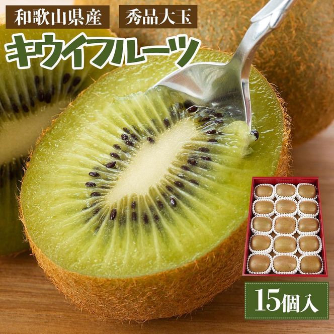 ya̎R쒬za̎RY Gi LECt[c 15 _ƌI s\ mKG28n 303446_XM90028