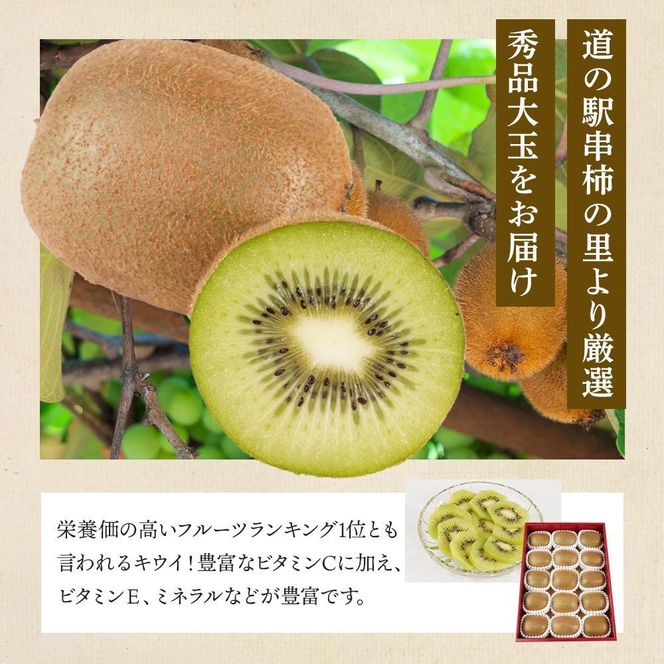 和歌山県産 秀品 キウイフルーツ 大玉15個入 こだわり農家厳選 先行予約 ［2026年12月中旬頃から2027年1月中旬頃順次発送］［KG28］ 303446_XM90028