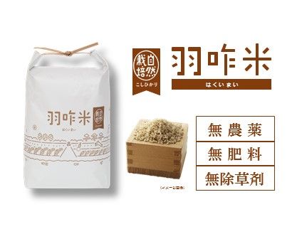 [A016] 【無農薬】【白米】能登のこだわり自然栽培こしひかり『羽咋米』 ３kg（３kg×１袋）