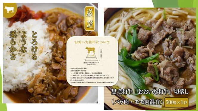 【A4～A5等級】総計2.5kg!おおいた和牛ほか厳選お肉の切落し3種セット_1476R