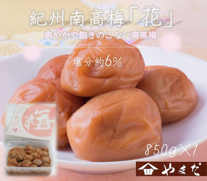 ya̎R쒬zIB썂~ uԁv 6 850g mYM8n 303446_DX90011