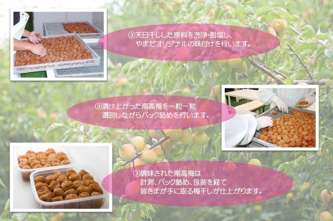 紀州南高梅 「花」 塩分約6％ 850g ［YM8］ 303446_DX90011