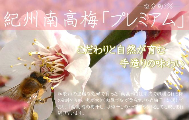 紀州南高梅 プレミアム 塩分約3％ 500g ［YM11］ 303446_DX90014