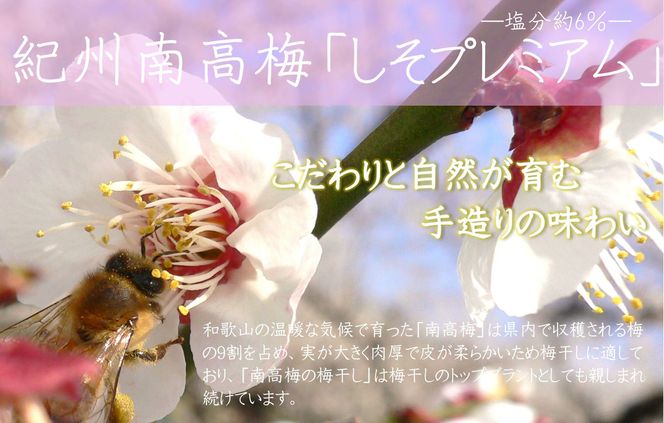 紀州南高梅 しそプレミアム塩分約6％ 500g ［YM13］ 303446_DX90016