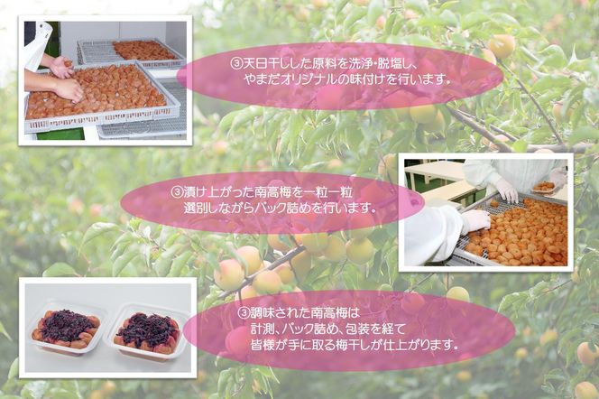 紀州南高梅 しそプレミアム塩分約6％ 500g ［YM13］ 303446_DX90016