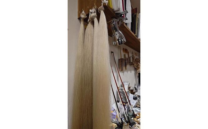 【高島屋選定品】〈Liuteria-TAKADA〉マエストロリュータイオによる弦楽器のためのメンテナンスチケット5万円分［ 弦楽器専門店  メンテナンス チケット 利用券 弦楽器 京都市 アトリエ マエストロ 監修 楽器 音楽 趣味 人気  おすすめ 伝統技術 職人 クラシック 音楽教育 プレゼント ギフト 演奏 高品質 文化体験 ふるさと納税 ］ 261009_A-TY092