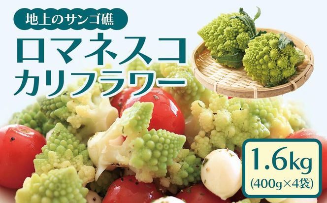 y蒬zⓀJbg}lXRJt[ 400g×4܁i1.6kgj 464686_F611