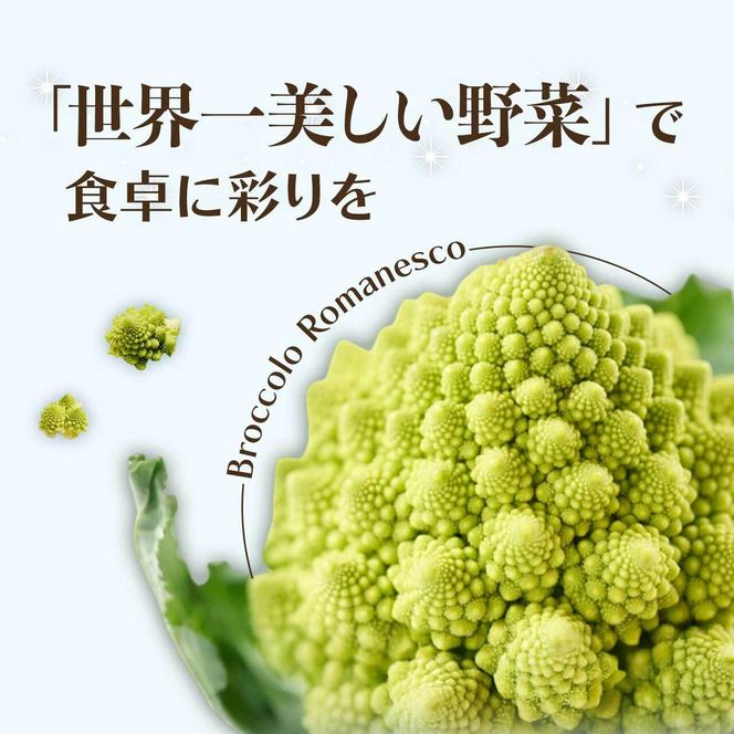 冷凍カットロマネスコカリフラワー 400g×4袋（1.6kg） 464686_F611