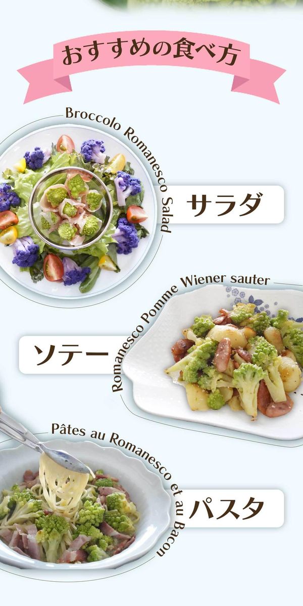 冷凍カットロマネスコカリフラワー 400g×4袋（1.6kg） 464686_F611