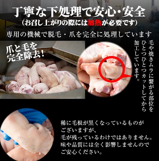 【訳あり・業務用】九州産黒豚豚足 半割 計10kg a0-238