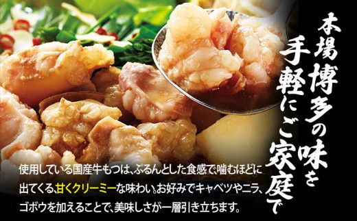 やまや　博多もつ鍋　あごだし醤油味（1～2人前）