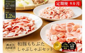 54-1277　【定期便9ヵ月】 和豚 もちぶた しゃぶしゃぶ セット 合計1.2kg（ロース・バラ・肩ロース）