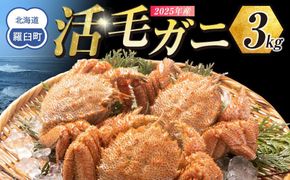  【先行予約/2026年4月発送開始】活毛ガニ　３kg　300g～500g　６～９尾 016942_AH271