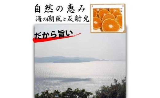 【有田川町】バレンシアオレンジ 4kg バレンシア バレンシャ 和歌山 ブランド 有田みかん ご家庭用  CE026