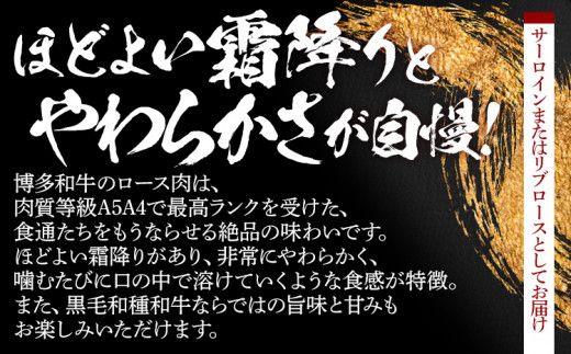 数量限定　博多和牛ロースステーキ２枚入　500g