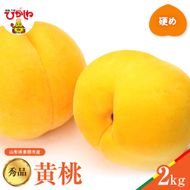 【2025年産　先行予約】黄桃 品種おまかせ 秀品2kg(硬め) 山形県 東根市　hi004-hi062-026-2