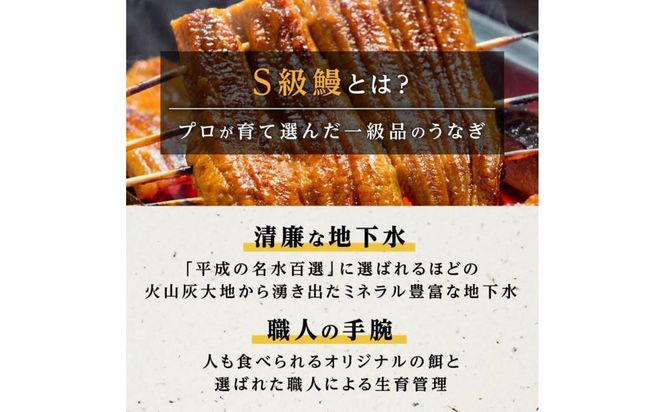横山桂一さんのS級鰻　大20尾（3Kｇ） 464686_AW018