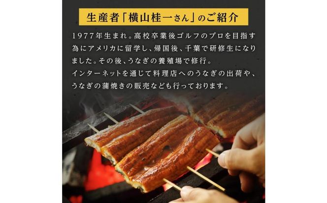 横山桂一さんのS級鰻　大20尾（3Kｇ） 464686_AW018