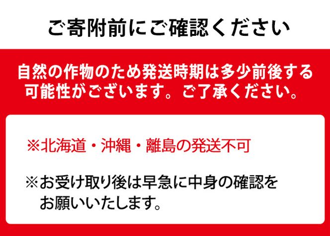 【0313605b】＜定期便・全3回＞自慢の農家×老舗青果店のフルーツ定期便(3回)メロン スイカ パッションフルーツ 果物 フルーツ 果実 セット【有留青果】